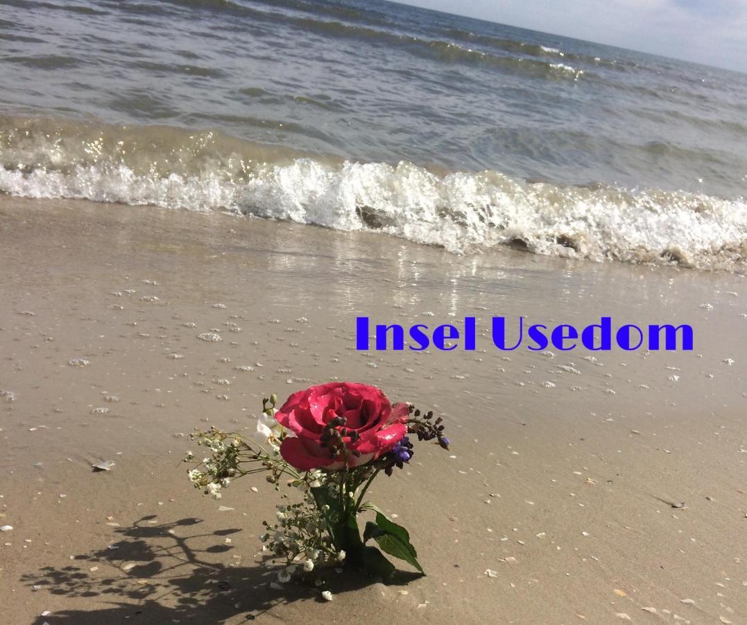 Ferienwohnung Mit Terrasse - Insel Usedom Trassenheide Extérieur photo
