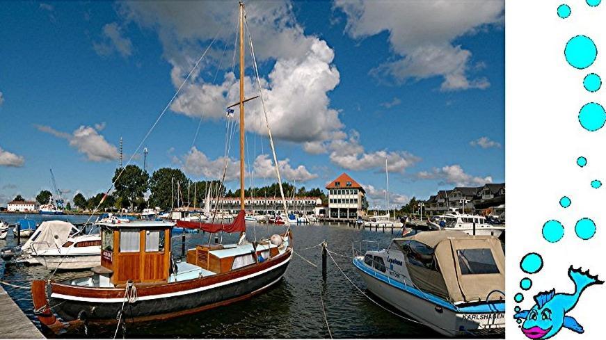 Ferienwohnung Mit Terrasse - Insel Usedom Trassenheide Extérieur photo