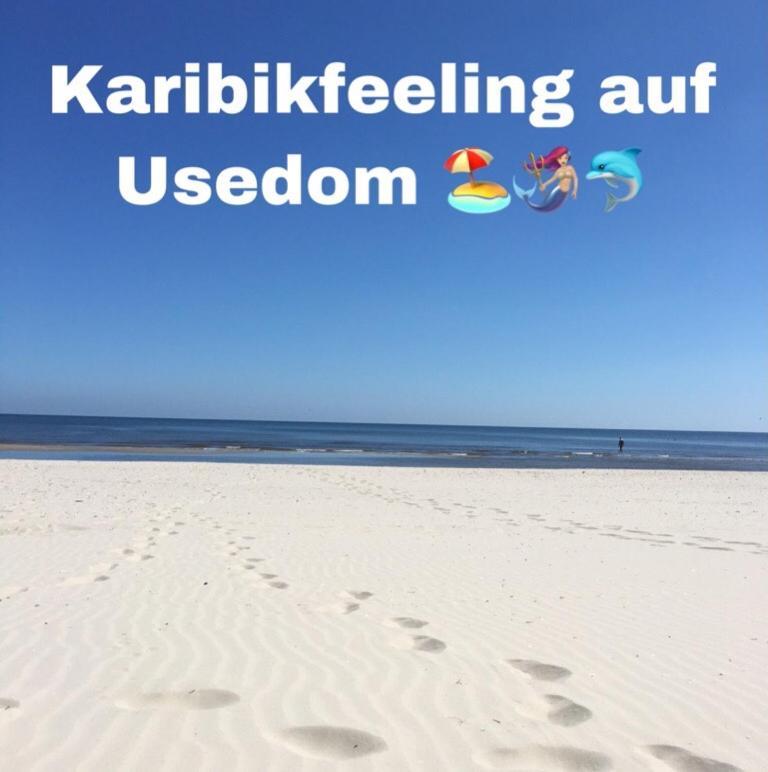 Ferienwohnung Mit Terrasse - Insel Usedom Trassenheide Extérieur photo