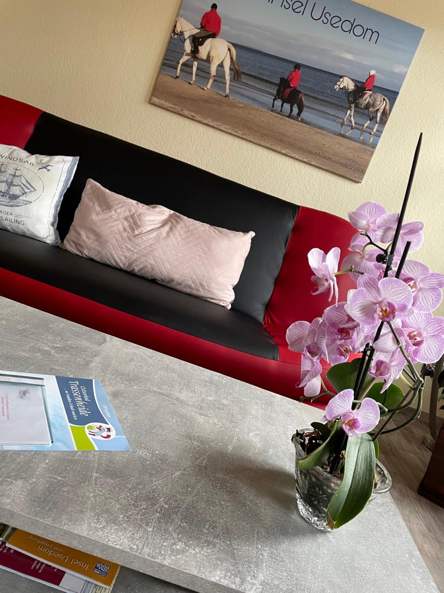 Ferienwohnung Mit Terrasse - Insel Usedom Trassenheide Extérieur photo